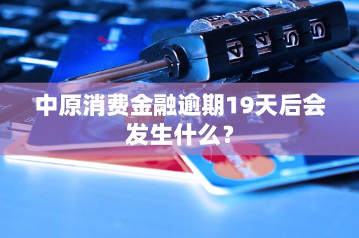 中原消费金融逾期19天后会发生什么？