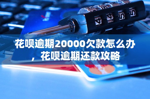 花呗逾期20000欠款怎么办，花呗逾期还款攻略