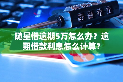 随星借逾期5万怎么办？逾期借款利息怎么计算？