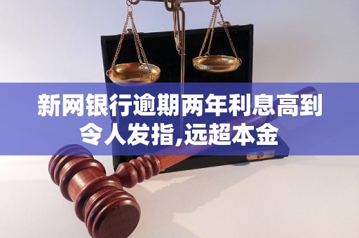 新网银行逾期两年利息高到令人发指,远超本金