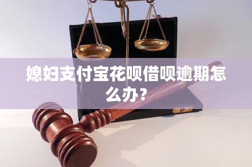 媳妇支付宝花呗借呗逾期怎么办？