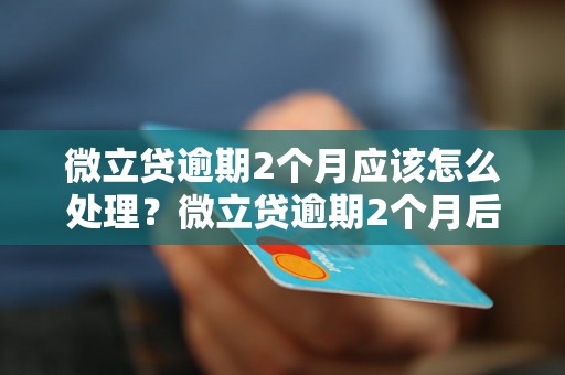 微立贷逾期2个月应该怎么处理？微立贷逾期2个月后果严重吗？