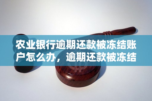 农业银行逾期还款被冻结账户怎么办，逾期还款被冻结后怎样解冻