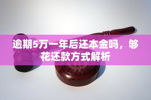 逾期5万一年后还本金吗，够花还款方式解析