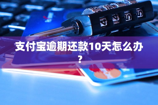 支付宝逾期还款10天怎么办？