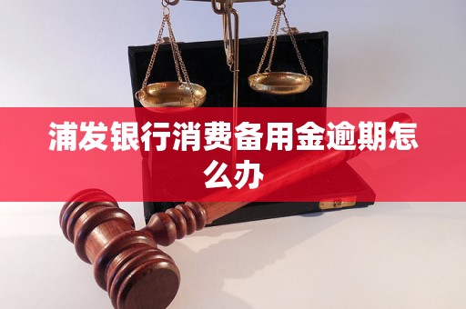 浦发银行消费备用金逾期怎么办