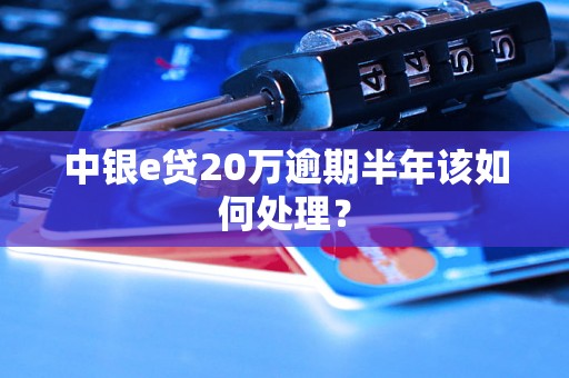 中银e贷20万逾期半年该如何处理？