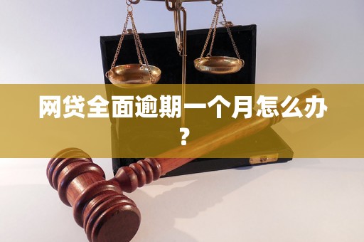 网贷全面逾期一个月怎么办？