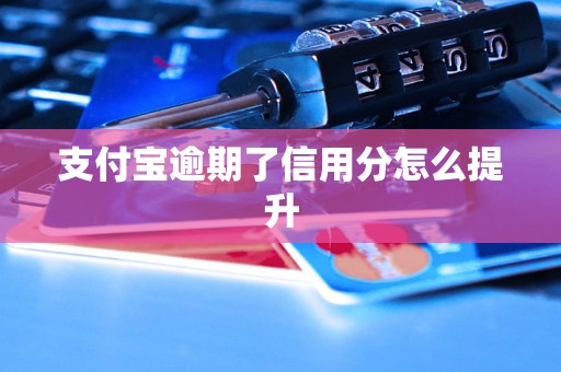 支付宝逾期了信用分怎么提升