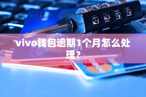 vivo钱包逾期1个月怎么处理？