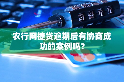 农行网捷贷逾期后有协商成功的案例吗？