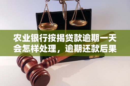 农业银行按揭贷款逾期一天会怎样处理，逾期还款后果严重吗