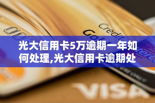 光大信用卡5万逾期一年如何处理,光大信用卡逾期处罚标准