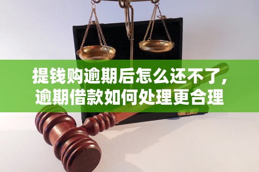 提钱购逾期后怎么还不了,逾期借款如何处理更合理