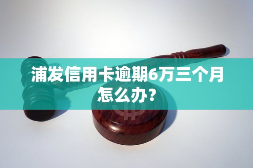 浦发信用卡逾期6万三个月怎么办？