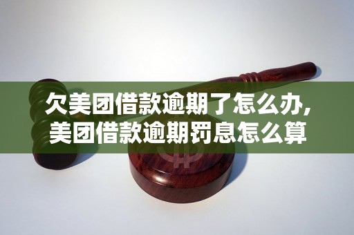 欠美团借款逾期了怎么办,美团借款逾期罚息怎么算