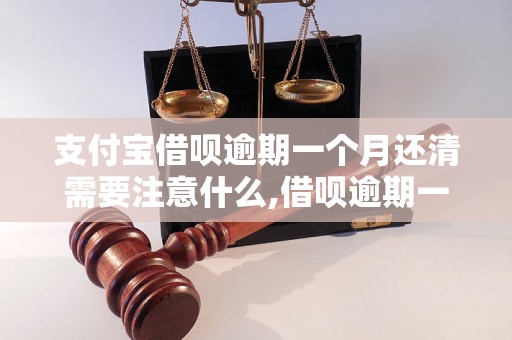 支付宝借呗逾期一个月还清需要注意什么,借呗逾期一个月还清流程详解