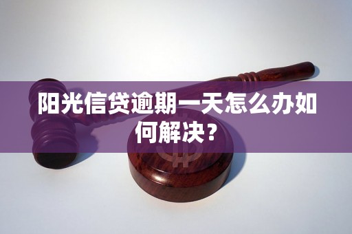 阳光信贷逾期一天怎么办如何解决？