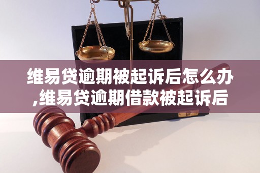 维易贷逾期被起诉后怎么办,维易贷逾期借款被起诉后的处置方法