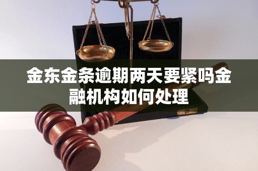 金东金条逾期两天要紧吗金融机构如何处理