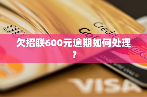 欠招联600元逾期如何处理？