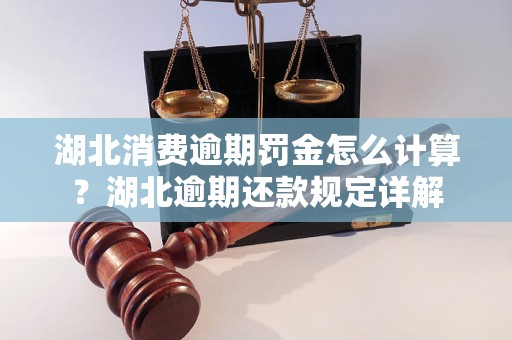 湖北消费逾期罚金怎么计算？湖北逾期还款规定详解