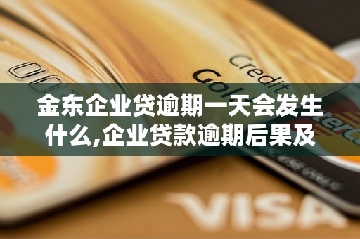 金东企业贷逾期一天会发生什么,企业贷款逾期后果及解决办法