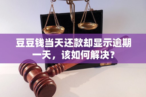 豆豆钱当天还款却显示逾期一天，该如何解决？