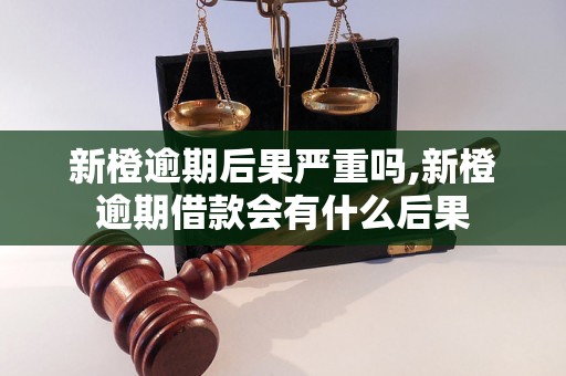 新橙逾期后果严重吗,新橙逾期借款会有什么后果