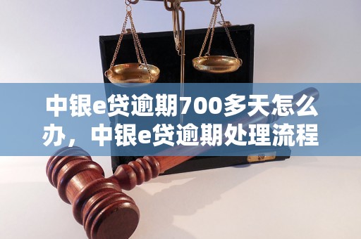 中银e贷逾期700多天怎么办，中银e贷逾期处理流程详解