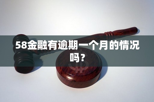 58金融有逾期一个月的情况吗？