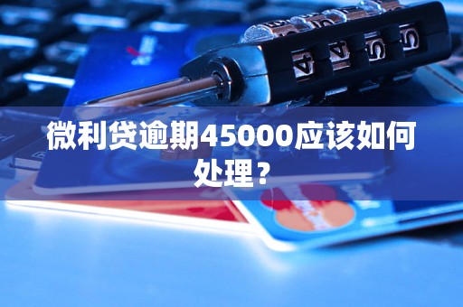 微利贷逾期45000应该如何处理？