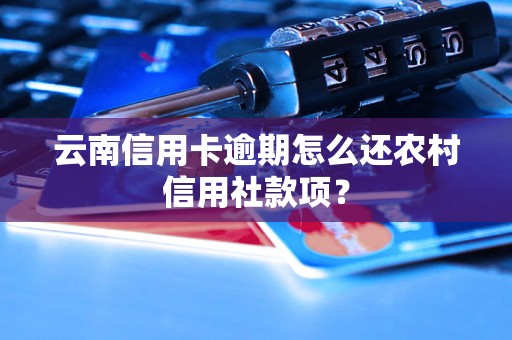 云南信用卡逾期怎么还农村信用社款项？