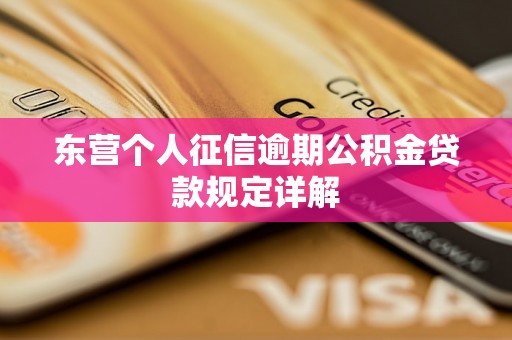 东营个人征信逾期公积金贷款规定详解