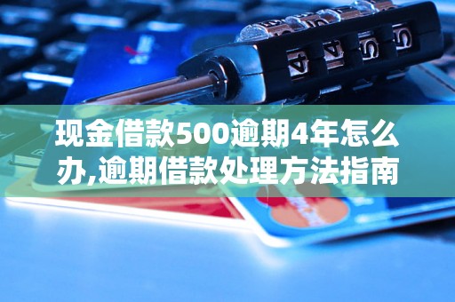 现金借款500逾期4年怎么办,逾期借款处理方法指南