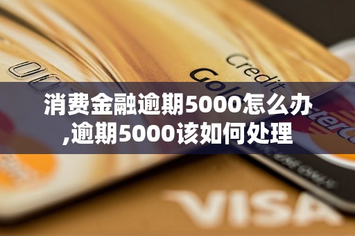 消费金融逾期5000怎么办,逾期5000该如何处理