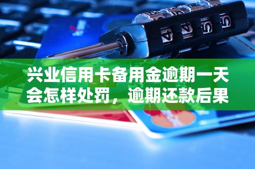 兴业信用卡备用金逾期一天会怎样处罚，逾期还款后果严重吗