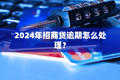 2024年招商贷逾期怎么处理？