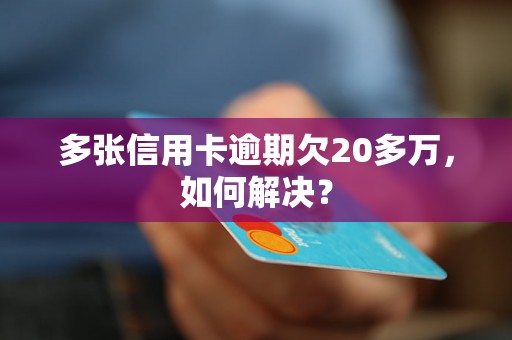 多张信用卡逾期欠20多万，如何解决？