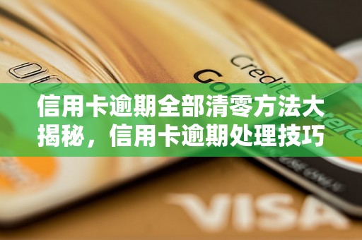 信用卡逾期全部清零方法大揭秘，信用卡逾期处理技巧分享