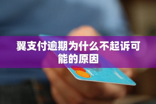 翼支付逾期为什么不起诉可能的原因