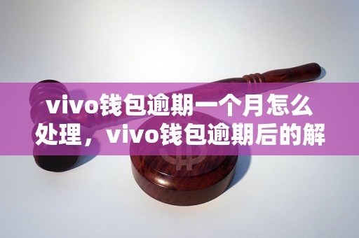 vivo钱包逾期一个月怎么处理，vivo钱包逾期后的解决办法