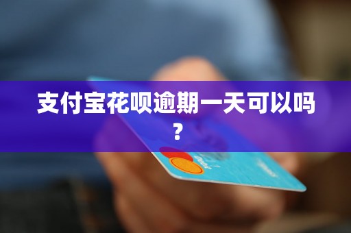 支付宝花呗逾期一天可以吗？