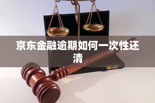 京东金融逾期如何一次性还清