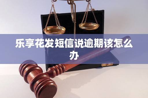 乐享花发短信说逾期该怎么办