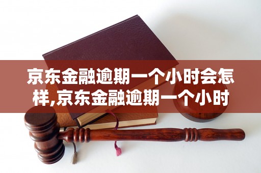 京东金融逾期一个小时会怎样,京东金融逾期一个小时会被罚款吗