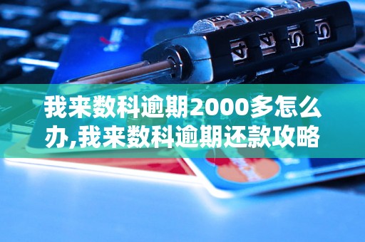 我来数科逾期2000多怎么办,我来数科逾期还款攻略