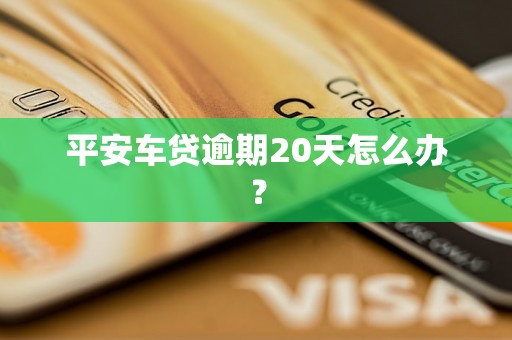 平安车贷逾期20天怎么办？