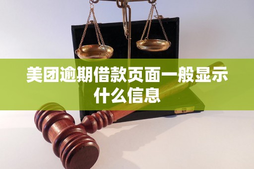 美团逾期借款页面一般显示什么信息