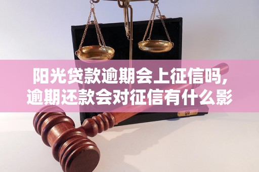 阳光贷款逾期会上征信吗,逾期还款会对征信有什么影响